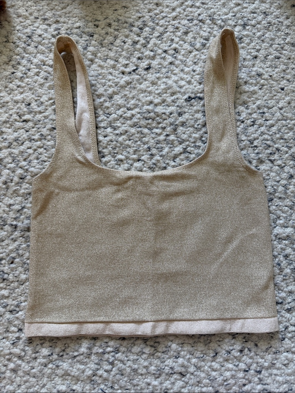 Anthropologie Shimmery Beige Crop Tank Top
